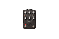 Dream Ortho_Top_TransBG